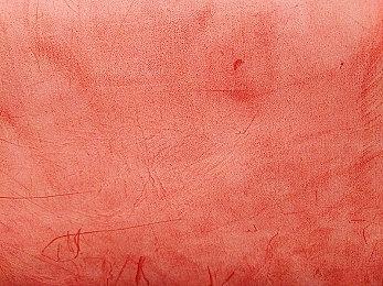 《恐龙小当家》全新预告！崭新版本关卡8月开启