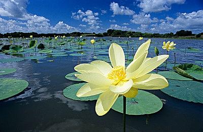 合作生存游戏《永恒冬季》9＆24抢先体验版推出